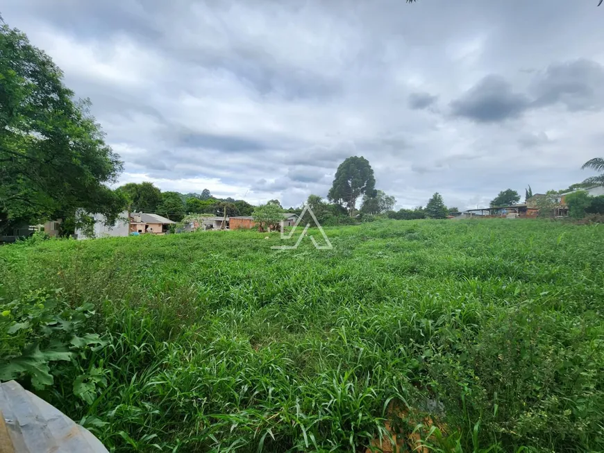 Foto 1 de Lote/Terreno à venda, 3977m² em Valinhos, Passo Fundo