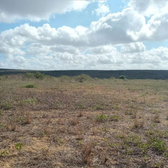 Foto 1 de Fazenda/Sítio com 3 Quartos à venda, 497000m² em Centro, João Câmara