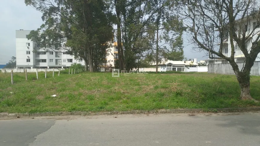 Foto 1 de Lote/Terreno à venda, 423m² em Sertao do Maruim, São José