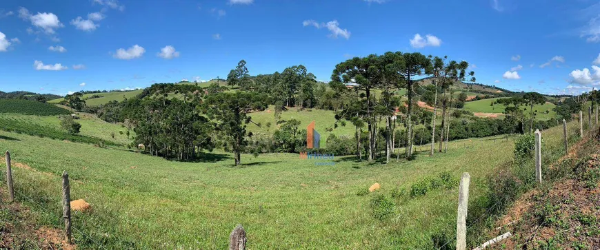 Foto 1 de Fazenda/Sítio à venda, 133100m² em Zona Rural, Ouro Fino