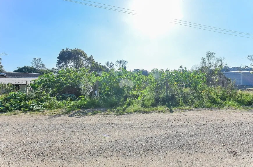 Foto 1 de Lote/Terreno à venda, 1250m² em Planta Vila Irai, Piraquara