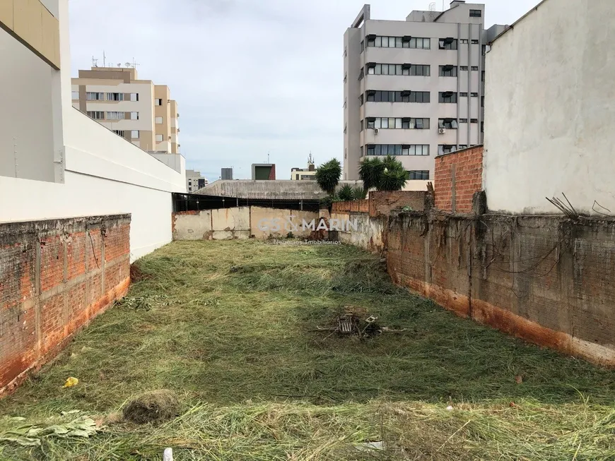 Foto 1 de Lote/Terreno à venda, 492m² em Vila Ipiranga, Londrina