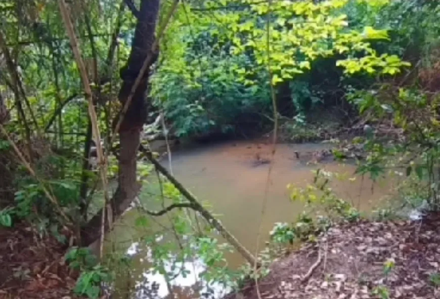 Foto 1 de Fazenda/Sítio à venda, 6000m² em Zona Rural, Nazário