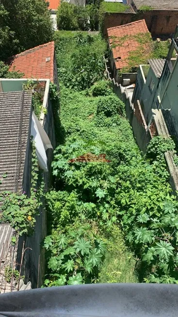 Foto 1 de Lote/Terreno à venda, 250m² em Vila Anglo Brasileira, São Paulo