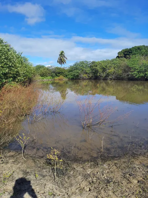 Foto 1 de Fazenda/Sítio com 3 Quartos à venda, 27800m² em Zona Rural, Macaíba