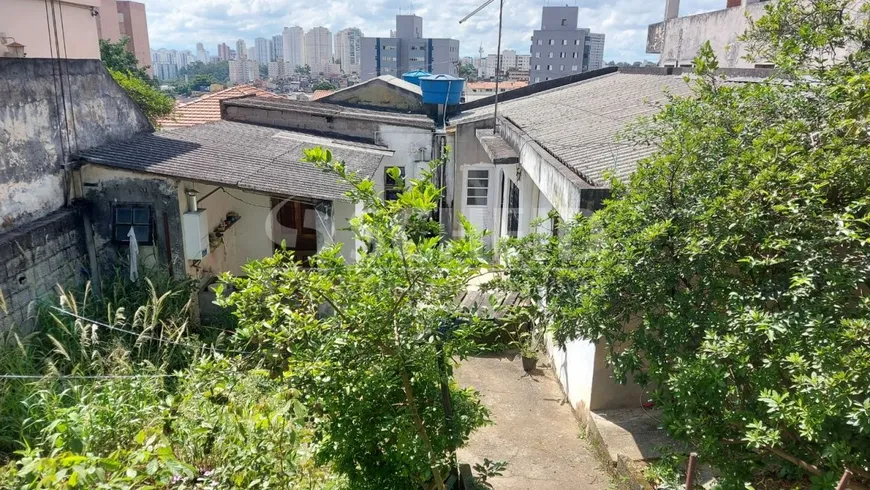 Foto 1 de Lote/Terreno à venda, 220m² em Vila Constança, São Paulo