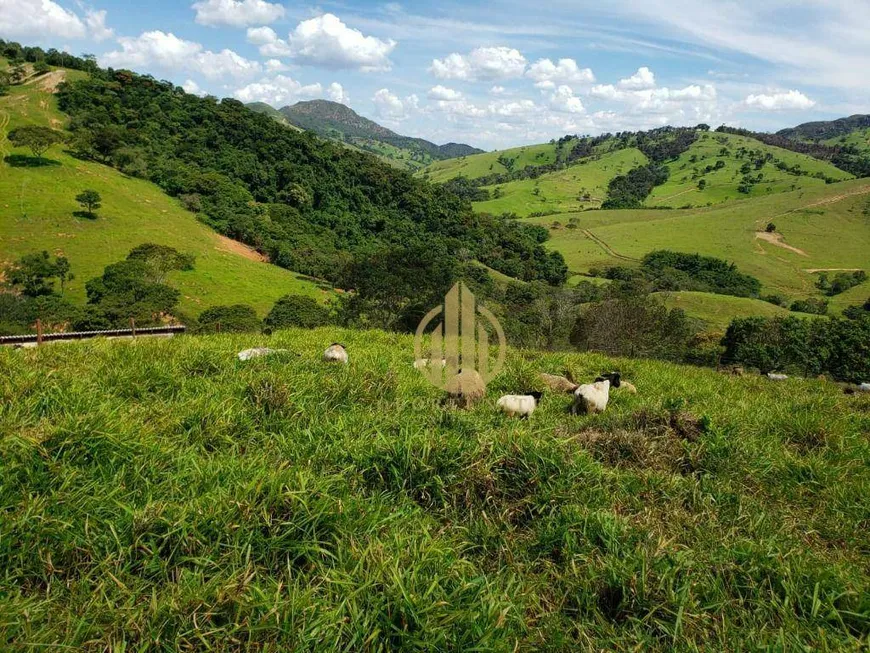 Foto 1 de Fazenda/Sítio à venda, 730000m² em Zona Rural, Capitólio