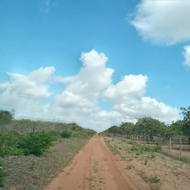 Foto 1 de Fazenda/Sítio com 3 Quartos à venda, 497000m² em Zona Rural, João Câmara