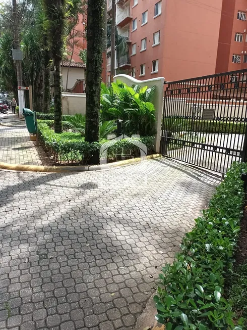 Foto 1 de Apartamento com 3 Quartos à venda, 74m² em Jardim Ampliação, São Paulo