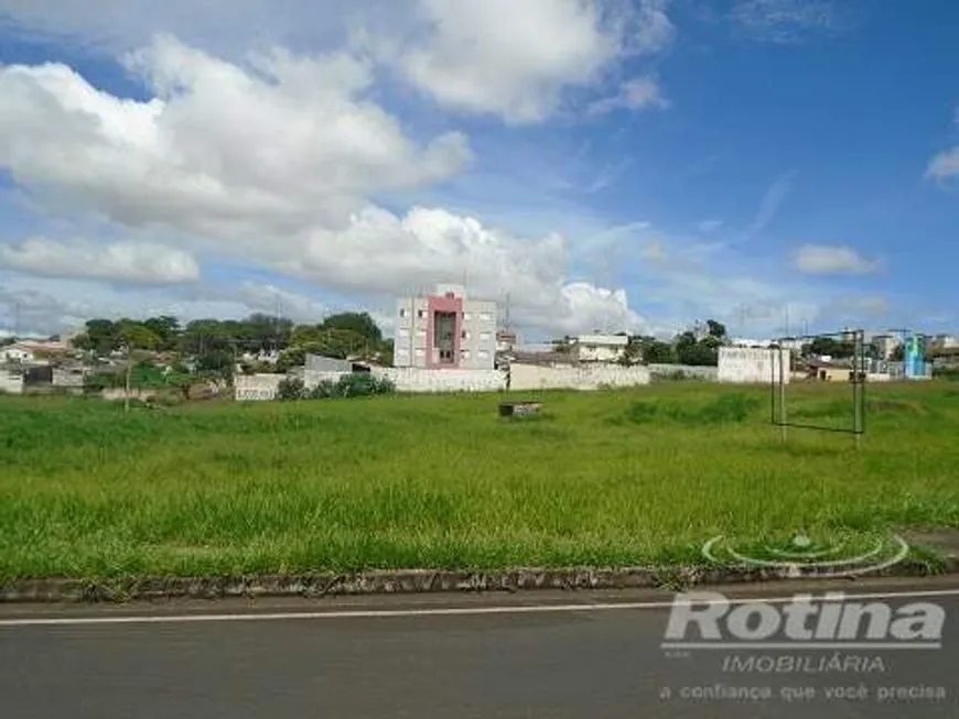 Foto 1 de Lote/Terreno à venda, 3342m² em Brasil, Uberlândia