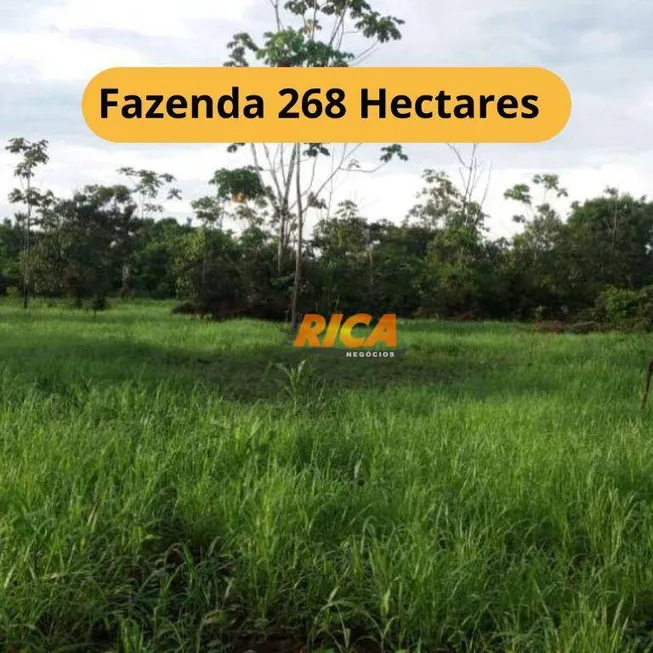 Foto 1 de Fazenda/Sítio à venda, 2680000m² em Zona Rural, Humaitá