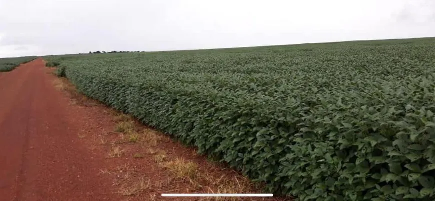 Foto 1 de Fazenda/Sítio com 4 Quartos à venda, 3400m² em Vila Sao Jose, Caldas Novas