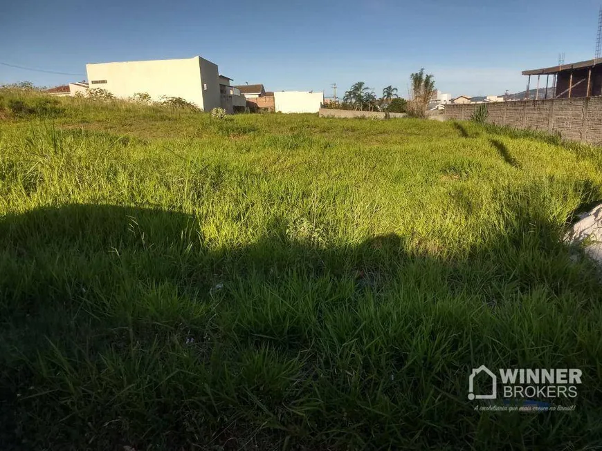 Foto 1 de Lote/Terreno à venda, 36000m² em Centro, Jacarezinho