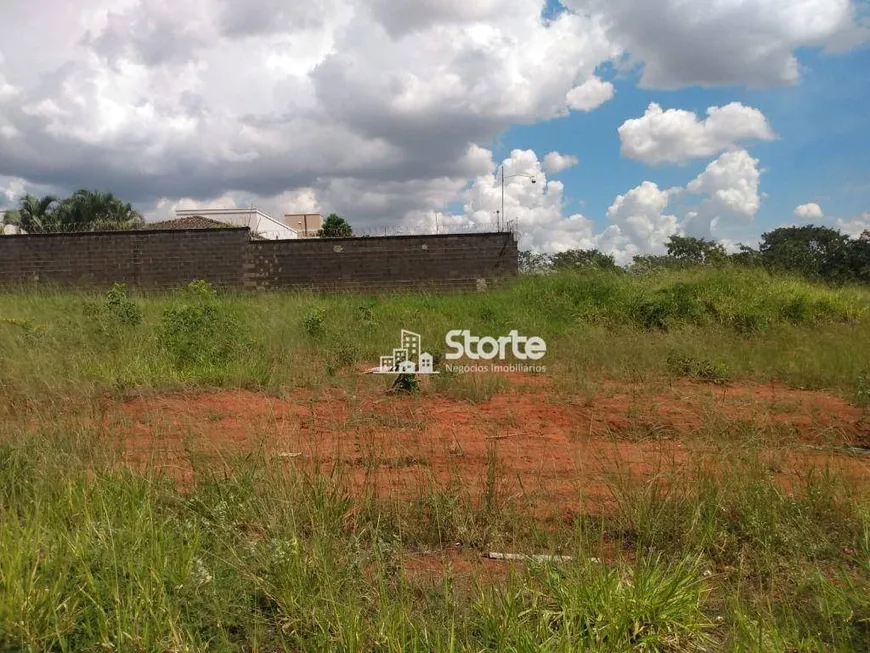 Foto 1 de Lote/Terreno à venda, 250m² em Jardim Inconfidência, Uberlândia