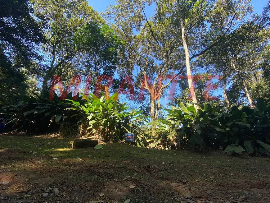 Foto 1 de Lote/Terreno à venda, 1525m² em Serra da Cantareira, São Paulo