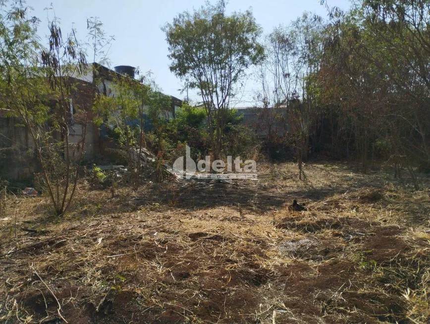 Foto 1 de Lote/Terreno à venda, 491m² em Osvaldo Rezende, Uberlândia