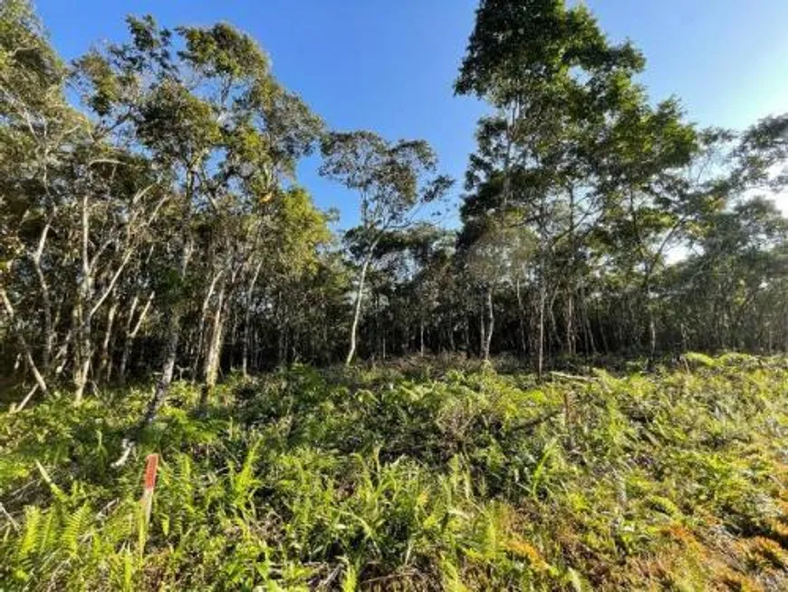 Foto 1 de Lote/Terreno à venda, 125m² em Vila Anchieta, Itanhaém