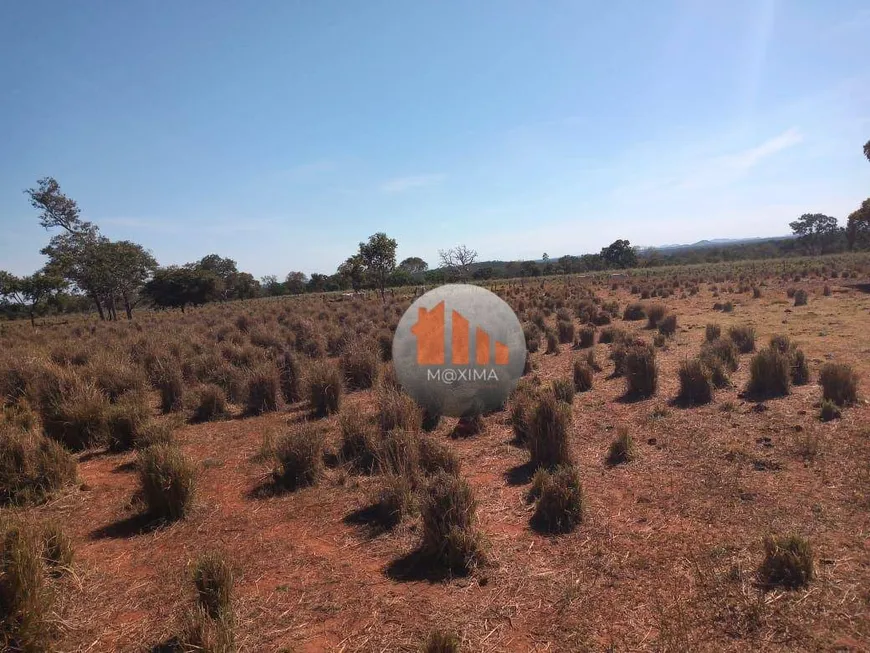 Foto 1 de Fazenda/Sítio com 2 Quartos à venda, 6776000m² em Zona Rural, Faina