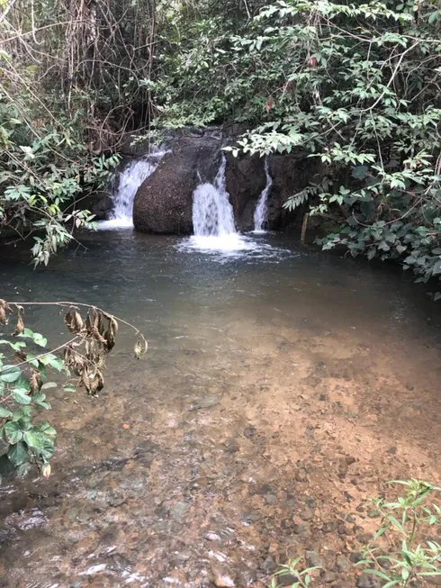 Foto 1 de Fazenda/Sítio à venda, 155000m² em Centro, Formosa