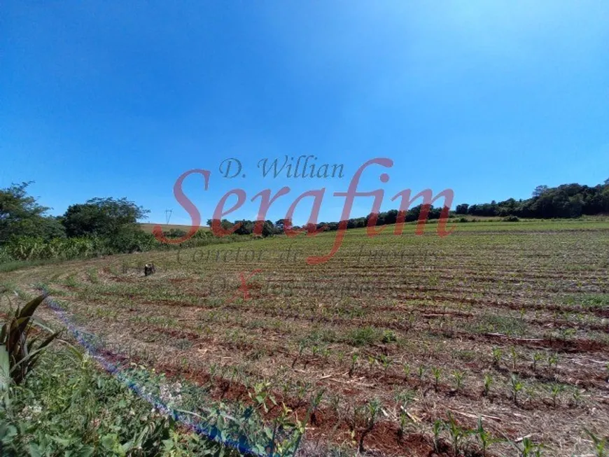 Foto 1 de Fazenda/Sítio com 1 Quarto à venda, 10m² em Alto Alegre, Cascavel