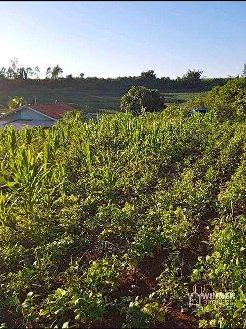 Foto 1 de Fazenda/Sítio com 2 Quartos à venda, 3000m² em Zona Rural, Marialva