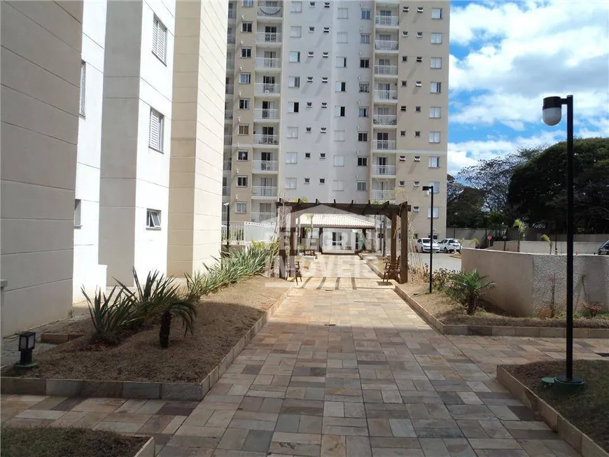 Foto 1 de Apartamento com 2 Quartos para alugar, 57m² em Vila Nova, Campinas