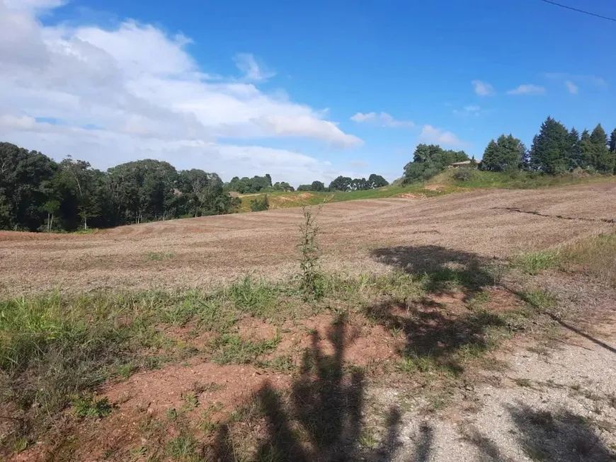 Foto 1 de Fazenda/Sítio com 1 Quarto à venda, 72000m² em Guajuvira, Araucária