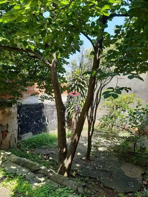 Foto 1 de Lote/Terreno à venda, 112m² em Vila Eldizia, Santo André