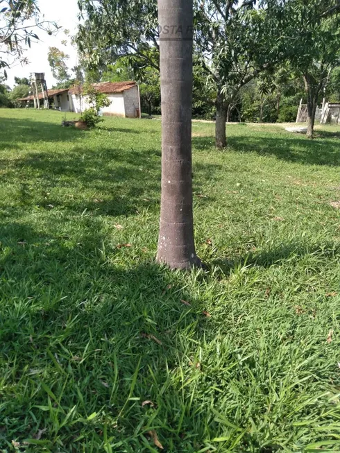 Foto 1 de Fazenda/Sítio com 3 Quartos à venda, 150m² em , Elias Fausto