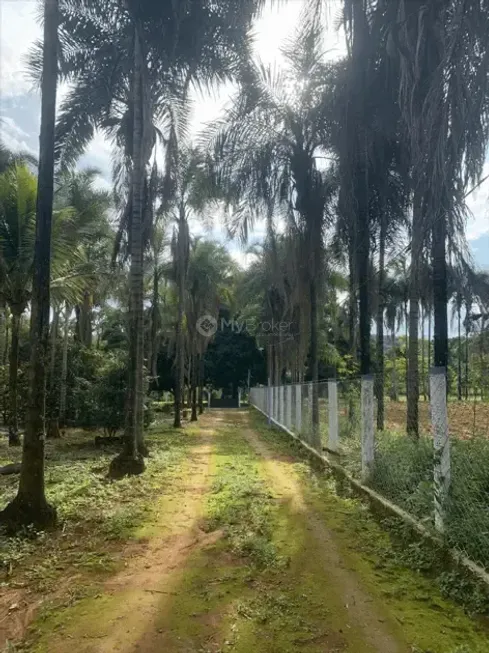 Foto 1 de Fazenda/Sítio à venda, 5000m² em , Abadia de Goiás