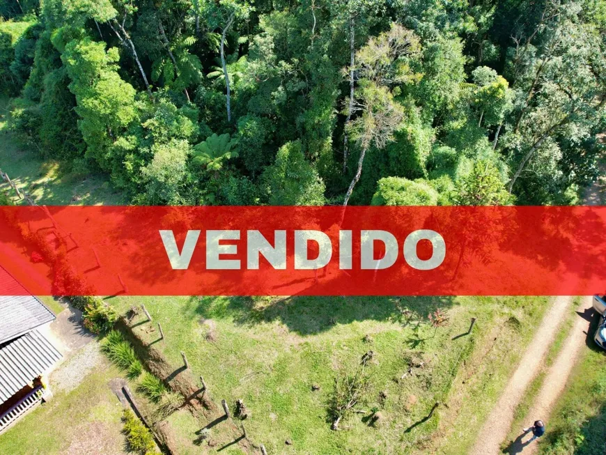 Foto 1 de Fazenda/Sítio à venda, 10000m² em Borda do Campo, São José dos Pinhais