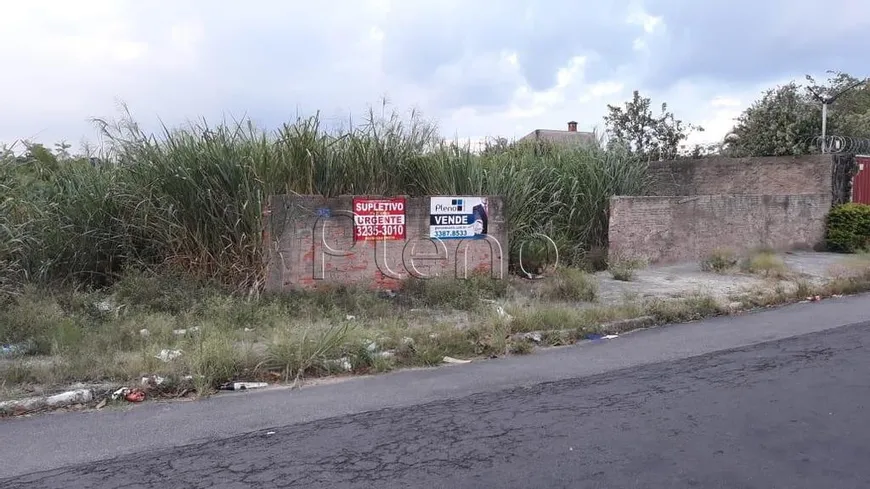 Foto 1 de Lote/Terreno à venda, 290m² em Jardim Nova Europa, Campinas