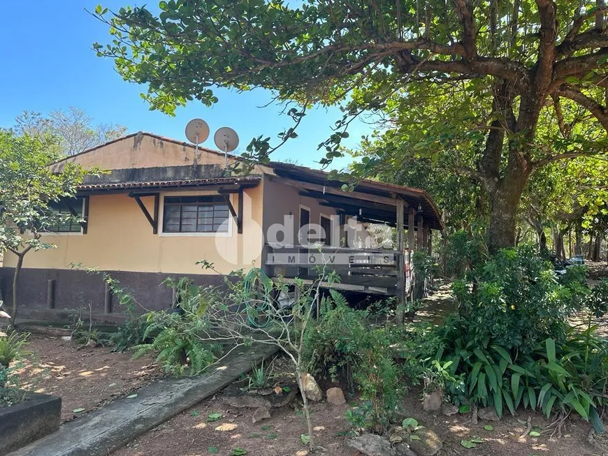 Foto 1 de Fazenda/Sítio com 4 Quartos à venda, 150m² em Area Rural de Uberlandia, Uberlândia