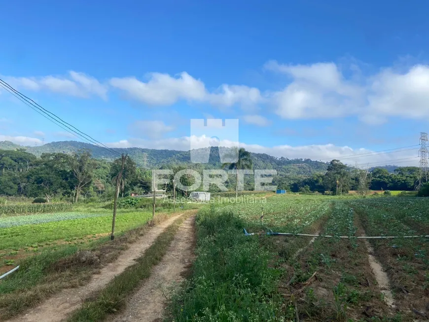 Foto 1 de Lote/Terreno à venda, 194153m² em Parque Santa Rosa, Suzano