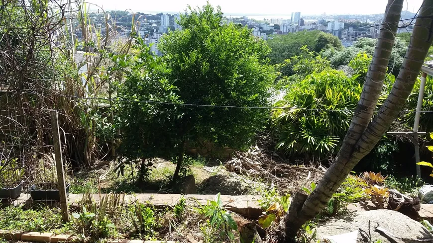 Foto 1 de Lote/Terreno à venda, 368m² em Setimo Ceu, Porto Alegre