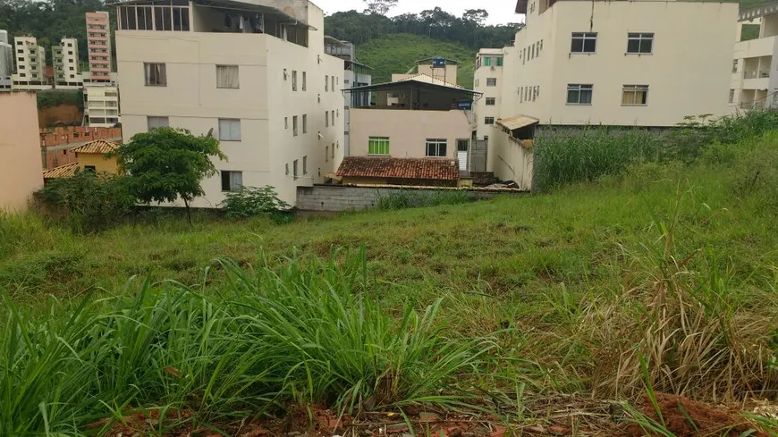 Foto 1 de Lote/Terreno à venda, 325m² em Liberdade 1, Viçosa