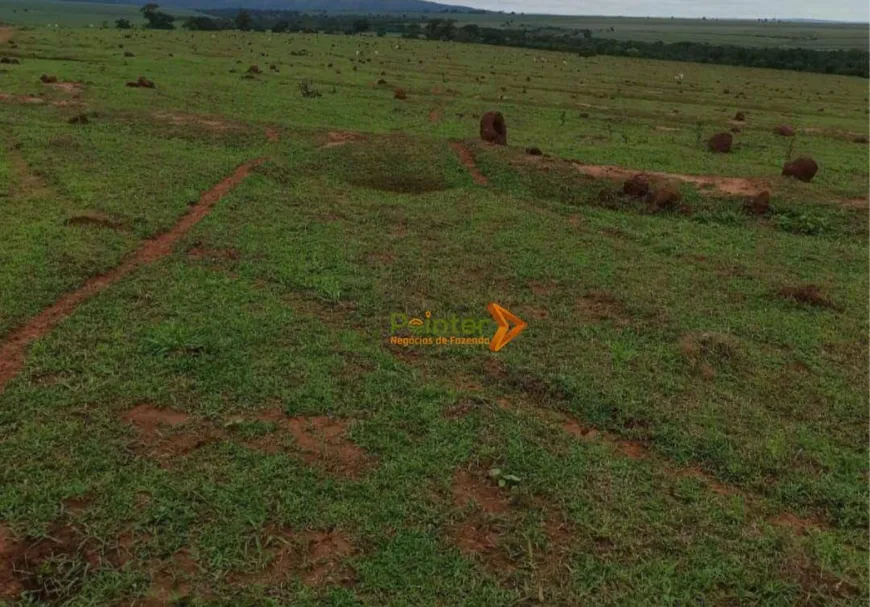 Foto 1 de Fazenda/Sítio com 2 Quartos à venda, 6360000m² em Zona Rural, Itarumã