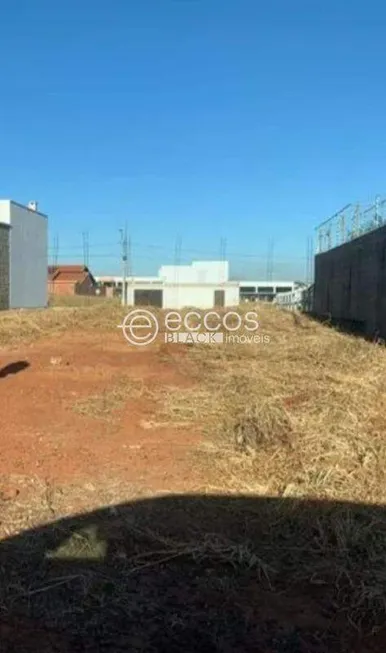 Foto 1 de Lote/Terreno à venda, 325m² em Bosque, Araguari