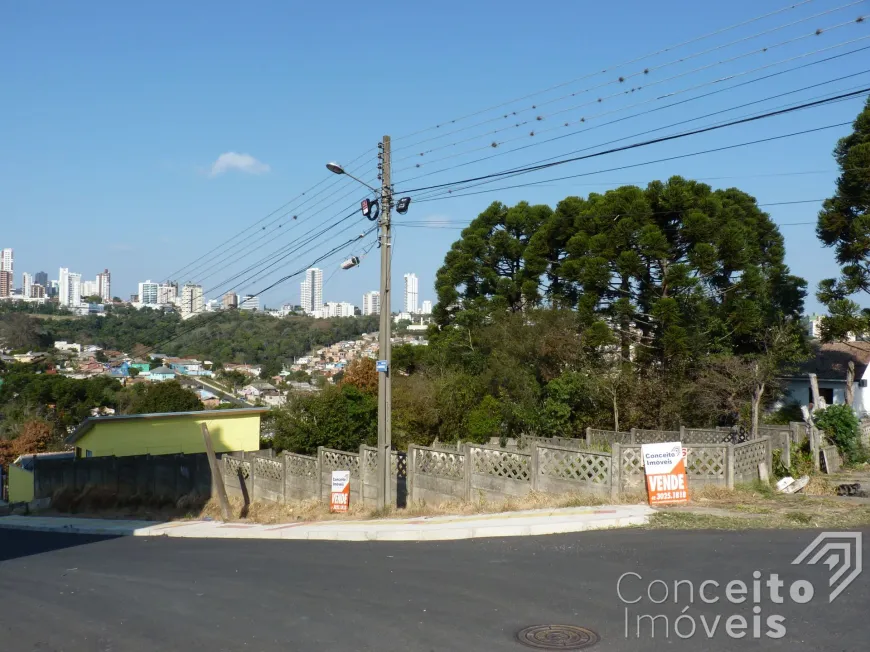 Foto 1 de Lote/Terreno à venda, 462m² em Ronda, Ponta Grossa