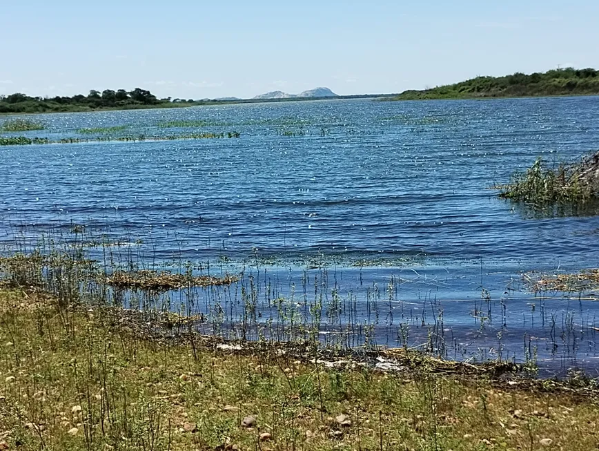 Foto 1 de Fazenda/Sítio à venda, 950000m² em Vila Eduardo, Petrolina