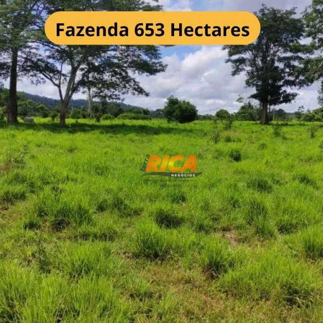 Foto 1 de Fazenda/Sítio com 1 Quarto à venda, 6530000m² em , Nova Mamoré