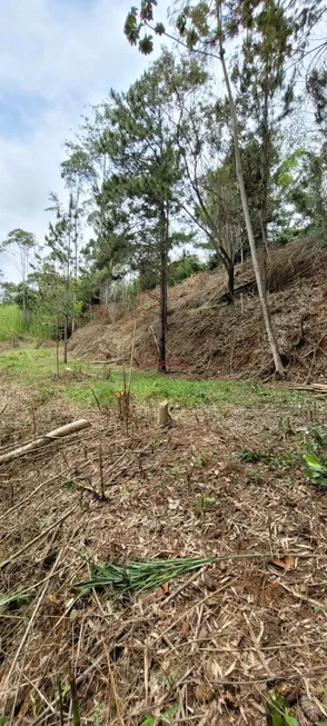 Foto 1 de Lote/Terreno à venda, 1700m² em Fazenda Boa Fé , Teresópolis