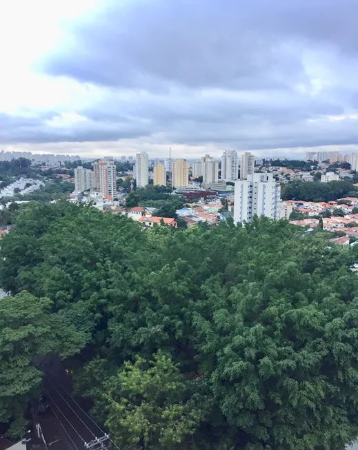 Foto 1 de Apartamento com 3 Quartos à venda, 110m² em Vila São Paulo, São Paulo