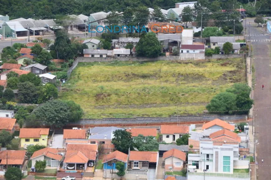 Foto 1 de Lote/Terreno à venda em Centro, Tibagi