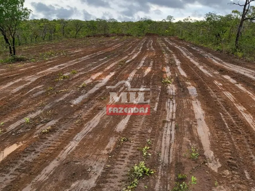 Foto 1 de Fazenda/Sítio à venda, 2540m² em Roda Velha, São Desidério
