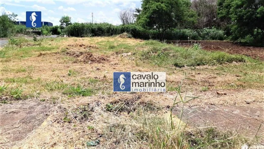 Foto 1 de Lote/Terreno à venda, 340m² em Vila Elisa, Ribeirão Preto