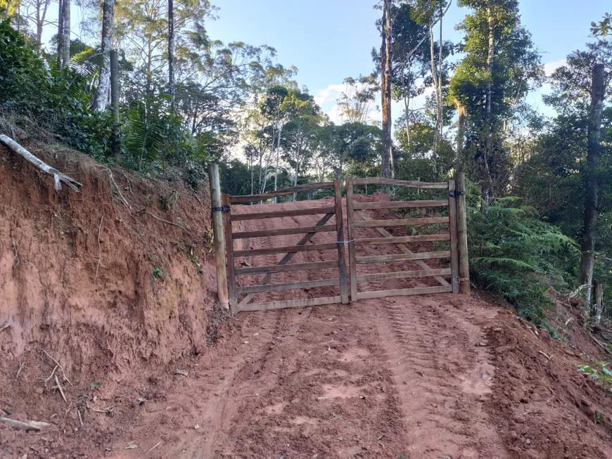 Foto 1 de Fazenda/Sítio à venda, 1000m² em , Marechal Floriano