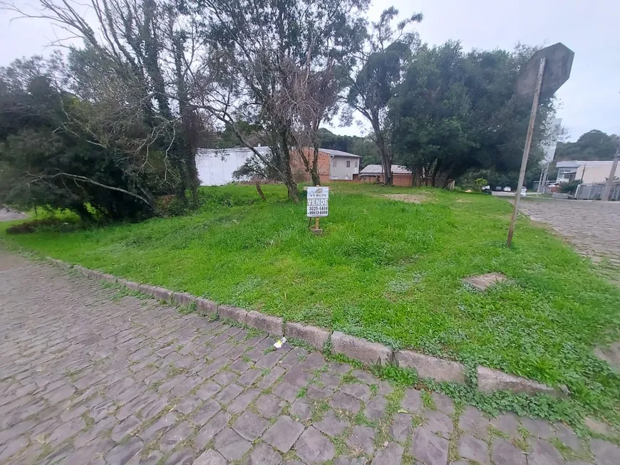 Foto 1 de Lote/Terreno à venda, 720m² em Marechal Floriano, Caxias do Sul