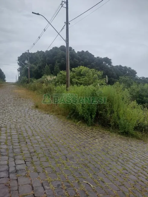 Foto 1 de Lote/Terreno à venda em Desvio Rizzo, Caxias do Sul