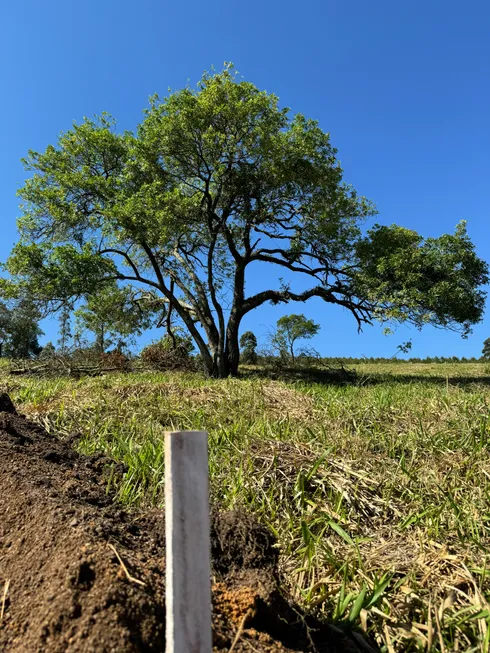 Foto 1 de Lote/Terreno à venda, 600m² em Jardim Wanda, São Paulo